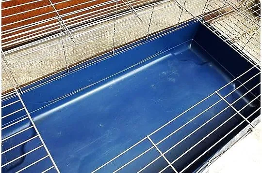 Duża klatka Maxi XXL Idealna dla królika, świnki morskiej, Lubuskie, Lubsko