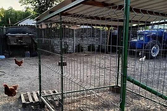 Kojec dla psa, Wielkopolskie, Ostrów Wielkopolski