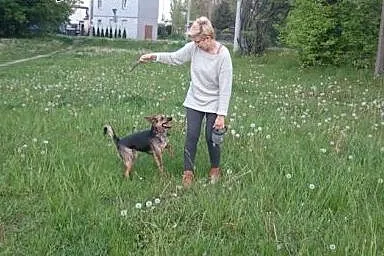 Roczna, aktywna i łagodna suczka, Mili do adopcji,