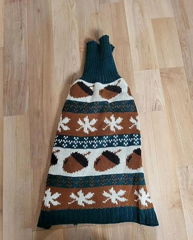 Sweter dla psa, Wielkopolskie, Września