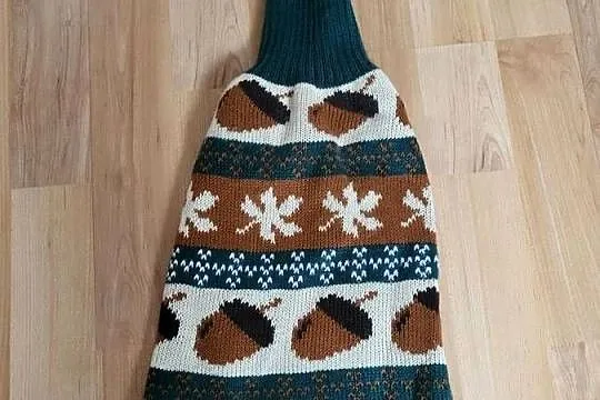Sweter dla psa, Wielkopolskie, Września