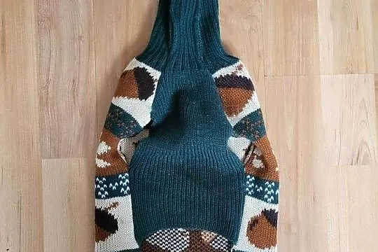 Sweter dla psa, Wielkopolskie, Września