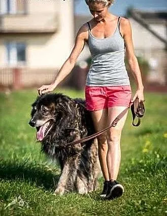 Cześć! jestem ASLAN! adoptujesz mnie? pokochasz?,