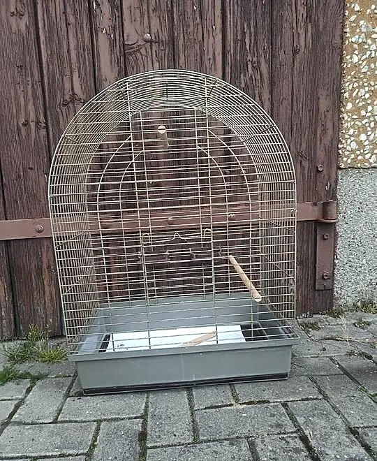 Klatka wolnostojąca, Śląskie, Wodzisław Śląski