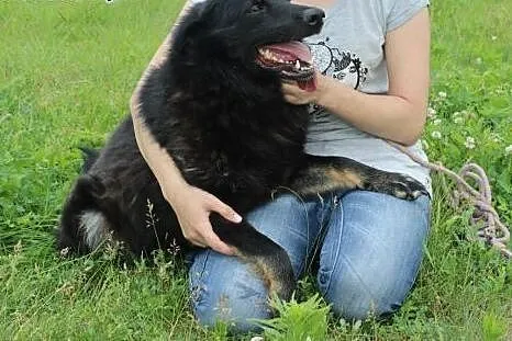 Frania szuka domu.,  mazowieckie Radom