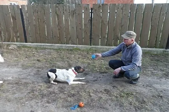 Yoko sunia wyrzucona z samochodu DO ADOPCJI! ŁTOnZ