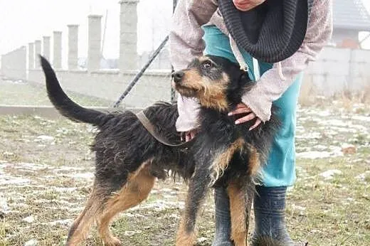 Baks. Nie sposób go nie pokochać!,  mazowieckie Wa