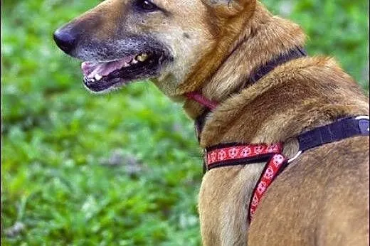 Wyjątkowa Zara czeka na wyjątkowego człowieka..., 