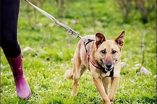 Wyjątkowa Zara czeka na wyjątkowego człowieka..., 