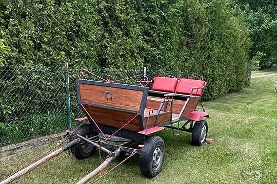 Bryczka konna, Podlaskie, Giby