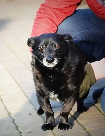 Kajo idealny dla starszej osoby
