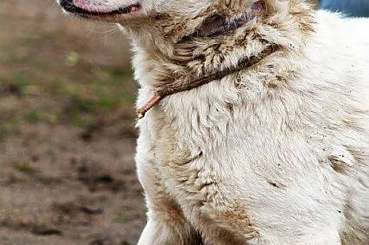 PESTKA młodziutka, żywiołowa, radosna iskierka,  m