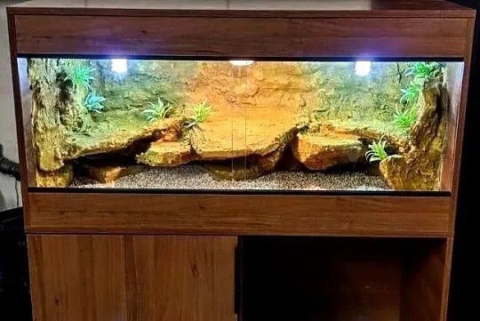 Terrarium dla agamy brodatej żółwia greckiego gekona lamparciego
