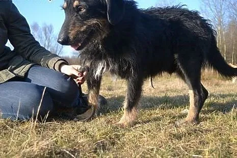 Kłapouchy czeka na odmianę losu.. Pomóz!,  małopol