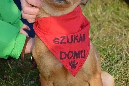 Malutka Lotka, skacząca jak sprężynka :),  kujawsk