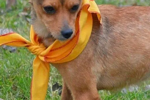Malutka Lotka, skacząca jak sprężynka :),  kujawsk