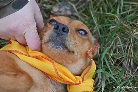 Malutka Lotka, skacząca jak sprężynka :),  kujawsk