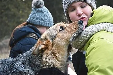 Piękna i bardzo kochana sunia - Ronia czeka na dom