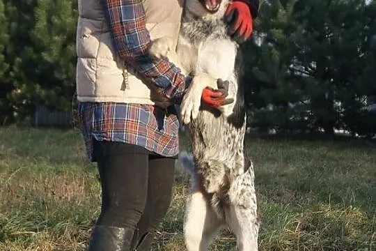Piękny CaRLos
