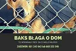 Baks - młodość, samotność i bezdomność. ,  małopol, Kraków