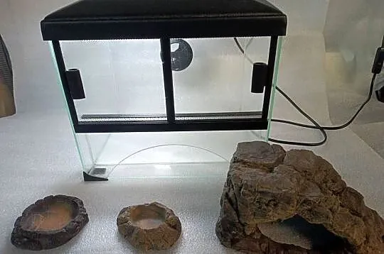 Terrarium 30x25x25 plus dodatki