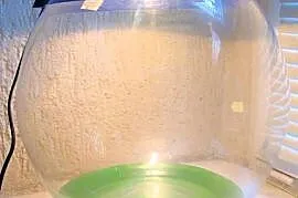Akwarium kula z podstawą żółwia 12,5l + oświetlenie.