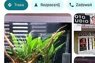 Żółw Grecki Żółw Lądowy Olsztyn wysyłka cała Polska, Warmińsko-mazurskie, Olsztyn