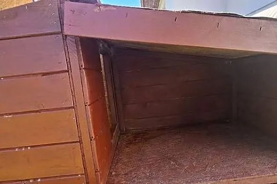 Mała buda dla psa, Małopolskie, Kasinka Mała