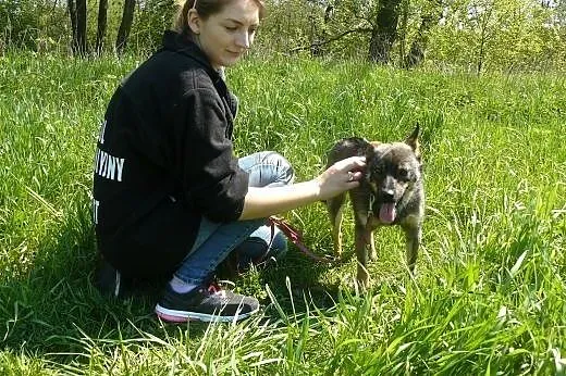 Nieduży, młodziutki Jasio szuka domku,  łódzkie Łó