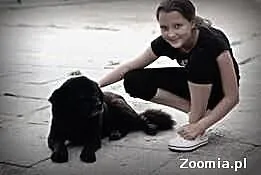 Smutek WEL Gacek nikomu nie wadzi, nikomu nie prze