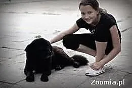 Smutek WEL Gacek nikomu nie wadzi, nikomu nie prze