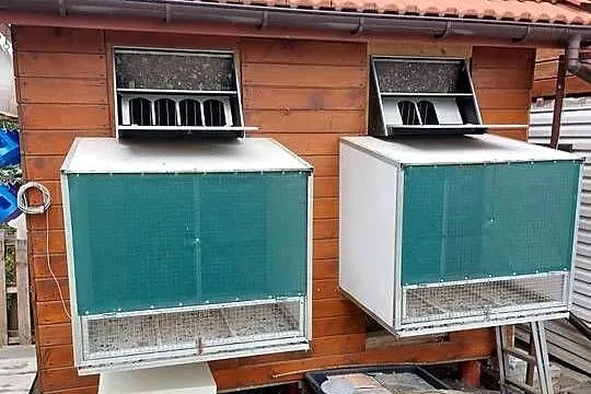 Gołębnik na młode gołębie pocztowe 3x2m woliery wyloty krata wema siodełka