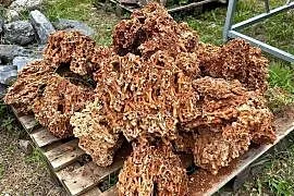CZERWONY WAPIEŃ Kamień do Akwarium Skała Żwirek Malawi Sponge Pipe Red