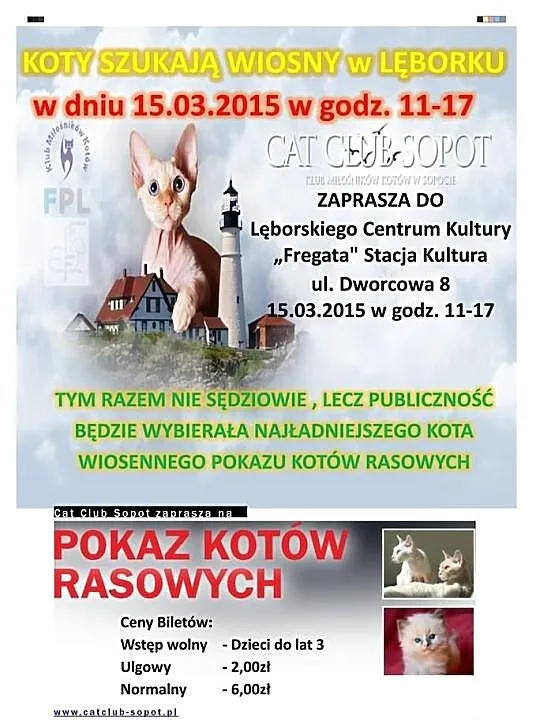 Wiosenny Pokaz Kotów Rasowych w Lęborku w dn. 15.0