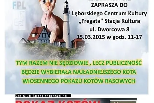 Wiosenny Pokaz Kotów Rasowych w Lęborku w dn. 15.0