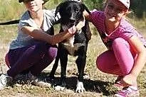 Rokko młody psiak do adopcji ,  łódzkie Skierniewi