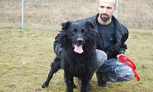 Zaadoptuj pięknego Negro i zobacz jak wiele da Ci