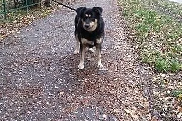 POMOCY ich Pani umarła! Orion i Nuka PILNIE szukaj