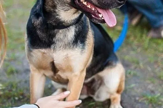 Dosia szuka wyjątkowego domu, łódzkie Łódź