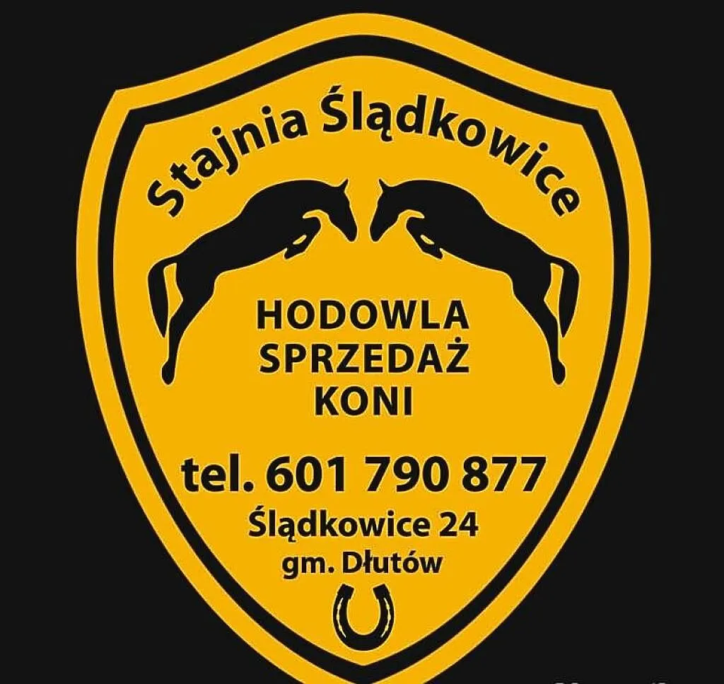 Hodowla i sprzedaż koni