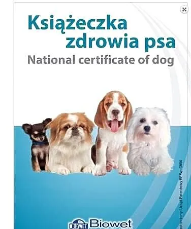 Książeczka Zdrowia Psa małej rasy - mix ras Nowa, Lubuskie, Lubsko