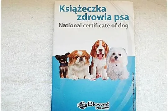 Książeczka Zdrowia Psa małej rasy - mix ras Nowa, Lubuskie, Lubsko