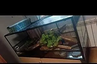 Terrarium