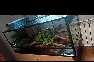 Terrarium, Podkarpackie, Tarnobrzeg