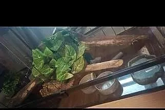 Terrarium, Podkarpackie, Tarnobrzeg