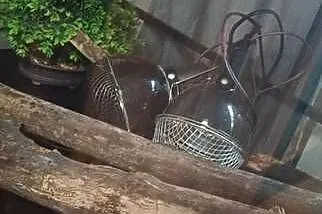Terrarium, Podkarpackie, Tarnobrzeg