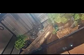 Terrarium, Podkarpackie, Tarnobrzeg