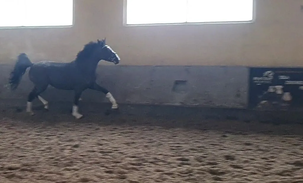 Spokojna 4 latka, ,