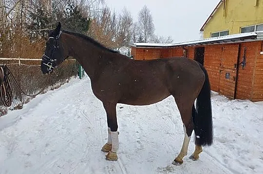 Spokojna 4 latka, , 
