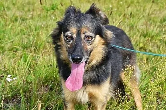 Megan i Neska - od urodzenia, od 8 lat razem w jed